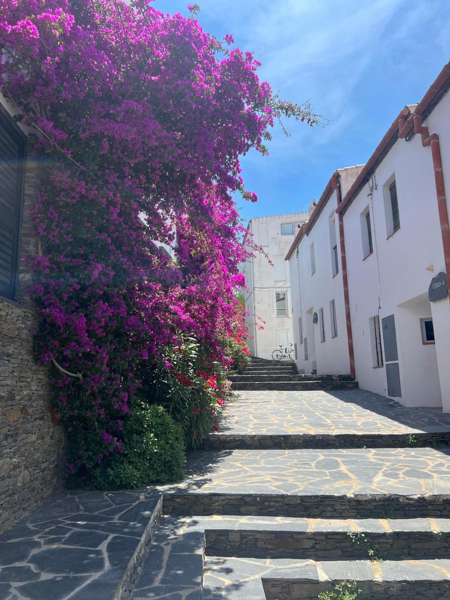 Canvas Apartments&Lofts Cadaques Bagian luar foto